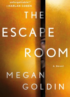 When Will Escape Room By Megan Goldin Release?