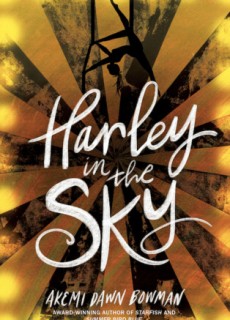When Will Harley In The Sky Novel Come Out? 2020 Book Release Dates