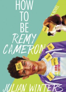 How To Be Remy Cameron Book Release Date? LGBT Novel Releases