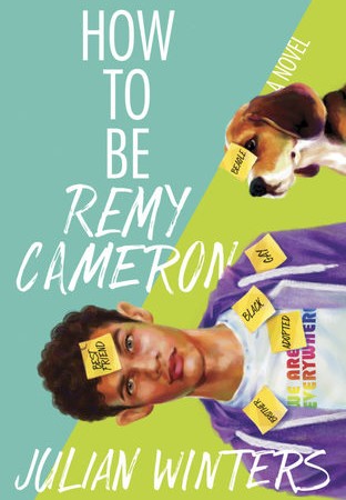 How To Be Remy Cameron Book Release Date? LGBT Novel Releases