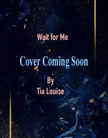 When Does Wait For Me Come Out? December 2019 Book Release Dates