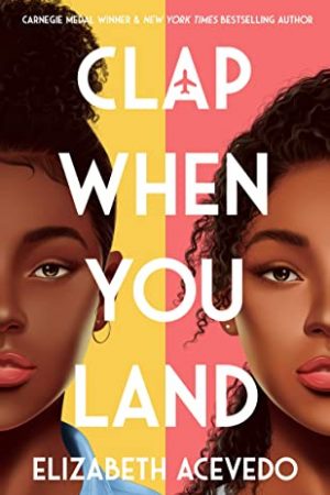 When Does Clap When You Land Come Out? 2020 Book Release Date