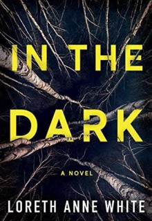 When Does In the Dark Come Out? 2019 Mystery Book Release Dates