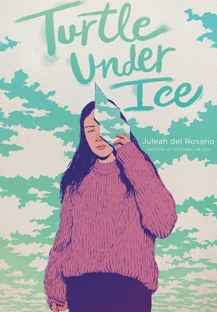When Will Turtle Under Ice Novel Come Out? 2020 Book Release Dates