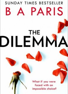 When Does The Dilemma Novel Come Out? 2020 Mystery Triller Book Release Dates