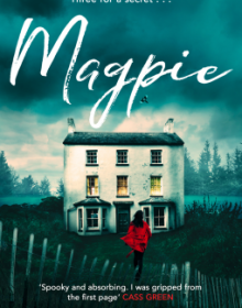When Does Magpie Novel Come Out? 2020 Thriller Book Release Dates