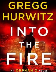 Into The Fire Book Release Date? 2020 Mystery Publications