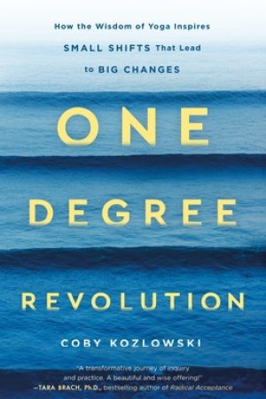 When Does One Degree Revolution Book Come Out? 2020 Nonfiction Publications