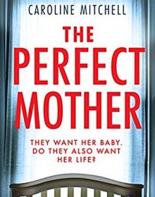The Perfect Mother Book Release Date? 2020 Suspense, Thriller & Mystery Releases