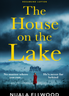 The House On The Lake Release Date? 2020 Suspense Thriller Publications