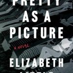 Pretty As A Picture Publication Date? 2020 Thriller Book Release Dates