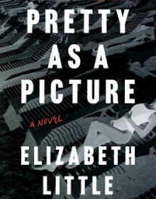 Pretty As A Picture Publication Date? 2020 Thriller Book Release Dates