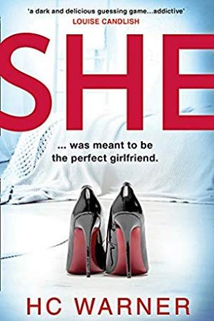 When Does She Novel Release? 2020 Fiction Book Release Dates