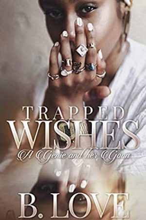 Trapped Wishes: A Genie And Her Goon Novel Release Date? Early 2020 Publications