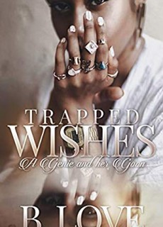 Trapped Wishes: A Genie And Her Goon Novel Release Date? Early 2020 Publications