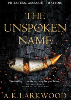 When Will The Unspoken Name Novel Release? 2020 LGBT Fantasy Book Release Dates