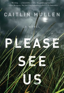 When Does Please See Us Novel Come Out? 2020 Mystery Thriller Book Release Dates