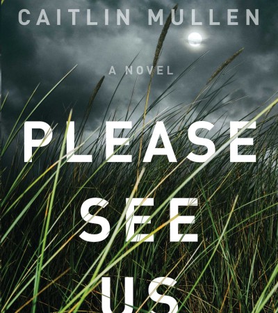 When Does Please See Us Novel Come Out? 2020 Mystery Thriller Book Release Dates