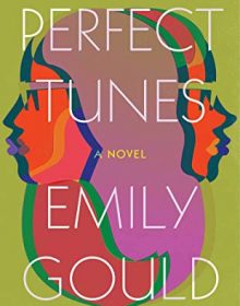When Does Perfect Tunes Come Out? 2020 Adult Fiction Releases