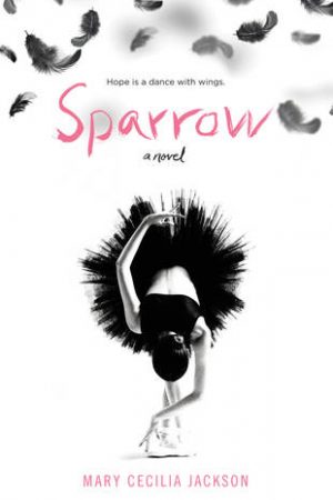 When Will Sparrow Novel Come Out? 2020 Contemporary Book Release Dates