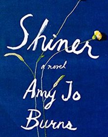 When Will Shiner Novel Come Out? 2020 Contemporary Literary Fiction Releases