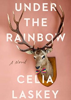 Under The Rainbow Release Date? 2020 Contemporary LGBT Fiction Releases
