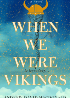When We Were Vikings Book Release Date? 2020 YA Contemporary Fiction