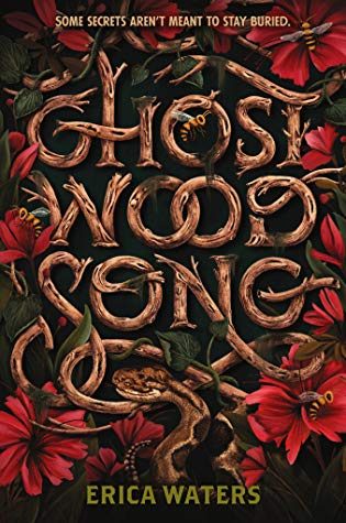 When Will Ghost Wood Song Book Release? 2020 YA Fantasy & Paranormal Fiction Releases