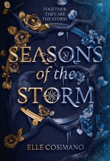 When Does Seasons Of The Storm Come Out? 2020 YA Fantasy Releases
