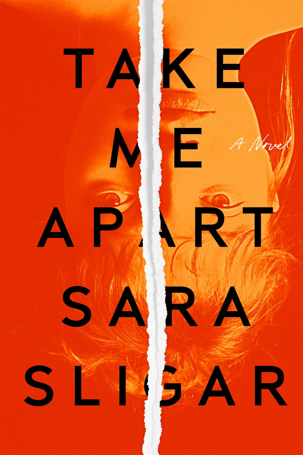 When Will Take Me Apart Novel Come Out? 2020 Thriller Releases