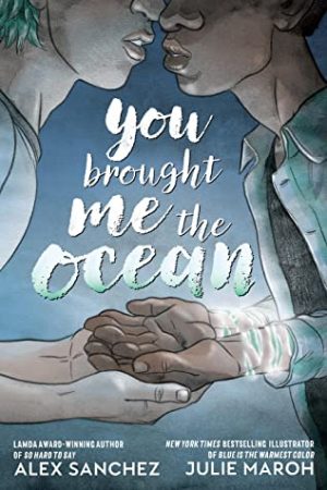 When Will You Brought Me The Ocean By Alex Sanchez Come Out? 2020 YA Sequential Art Releases
