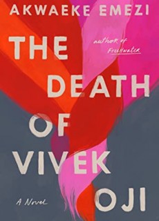 When Will The Death Of Vivek Oji By Akwaeke Emezi Come Out? 2020 Contemporary Cultural Adult Fiction