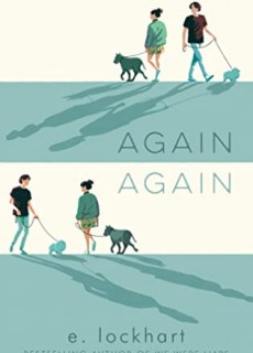 Again Again By E. Lockhart Release Date? 2020 YA Contemporary Romance Releases