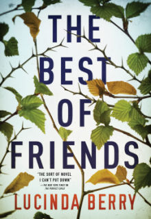 The Best Of Friends By Lucinda Berry Release Date? 2020 Mystery Thriller Releases