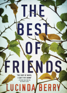 The Best Of Friends By Lucinda Berry Release Date? 2020 Mystery Thriller Releases