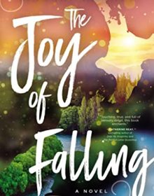 The Joy Of Falling By Lindsay Harrel Release Date? 2020 Contemporary Christian Fiction Releases