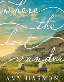 Where The Lost Wander By Amy Harmon Release Date? 2020 Historical Fiction Releases