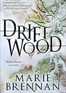 When Will Driftwood By Marie Brennan Release? 2020 Fantasy & Fiction Releases