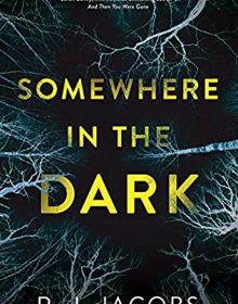 Somewhere In The Dark By R.J. Jacobs Release Date? 2020 Mystery & Thriller Releases