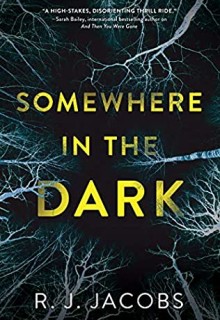 Somewhere In The Dark By R.J. Jacobs Release Date? 2020 Mystery & Thriller Releases