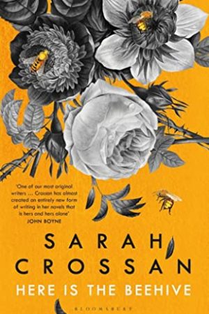 Here Is The Beehive By Sarah Crossan Release Date? 2020 Contemporary Poetry Releases