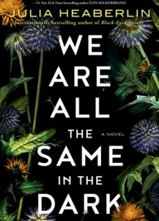 We Are All The Same In The Dark By Julia Heaberlin Release Date? 2020 Suspense & Thriller Releases
