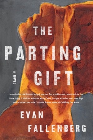 The Parting Gift By Evan Fallenberg Released Today? 2020 LGBT Literary Fiction Releases