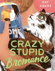 Crazy Stupid Bromance By Lyssa Kay Adams Release Date? 2020 Romance Releases