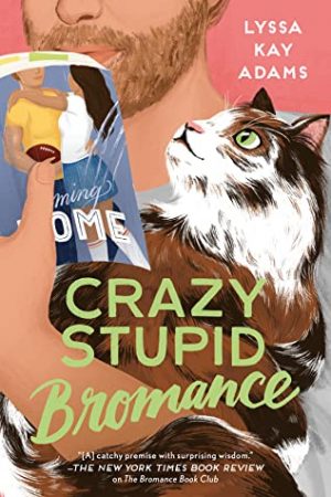 Crazy Stupid Bromance By Lyssa Kay Adams Release Date? 2020 Romance Releases