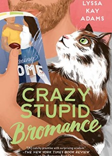 Crazy Stupid Bromance By Lyssa Kay Adams Release Date? 2020 Romance Releases