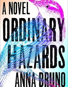 When Will Ordinary Hazards By Anna Bruno Release? 2020 Literary Fiction Releases