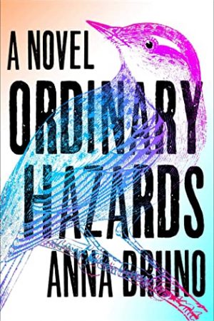 When Will Ordinary Hazards By Anna Bruno Release? 2020 Literary Fiction Releases