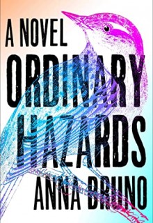 When Will Ordinary Hazards By Anna Bruno Release? 2020 Literary Fiction Releases