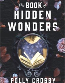 When Will The Book Of Hidden Wonders By Polly Crosby Release? 2020 Contemporary Mystery Releases